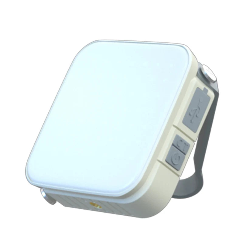 LED 800 Lumen Rechargeable Hanging Light